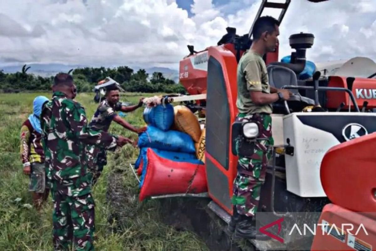 Satgas TMMD Namlea Maluku ajak petani perkuat ketahanan pangan daerah