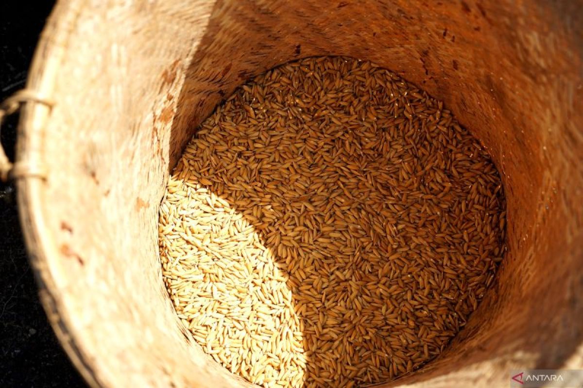 Kalsel kemarin, investasi mudah hingga produksi padi