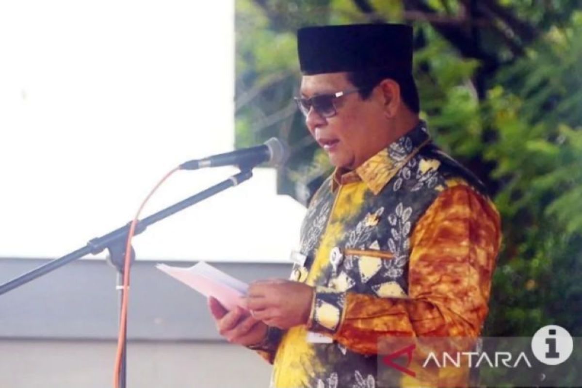 Kotabaru has opportunity to be advanced: Governor