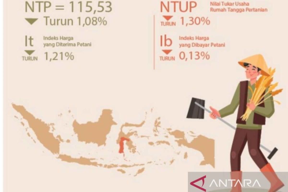 BPS: NTP perkebunan rakyat alami kenaikan 3,5 persen