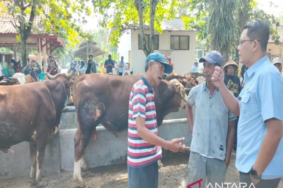 Pemkab Sleman memastikan ketersediaan sapi kurban 8.750 ekor