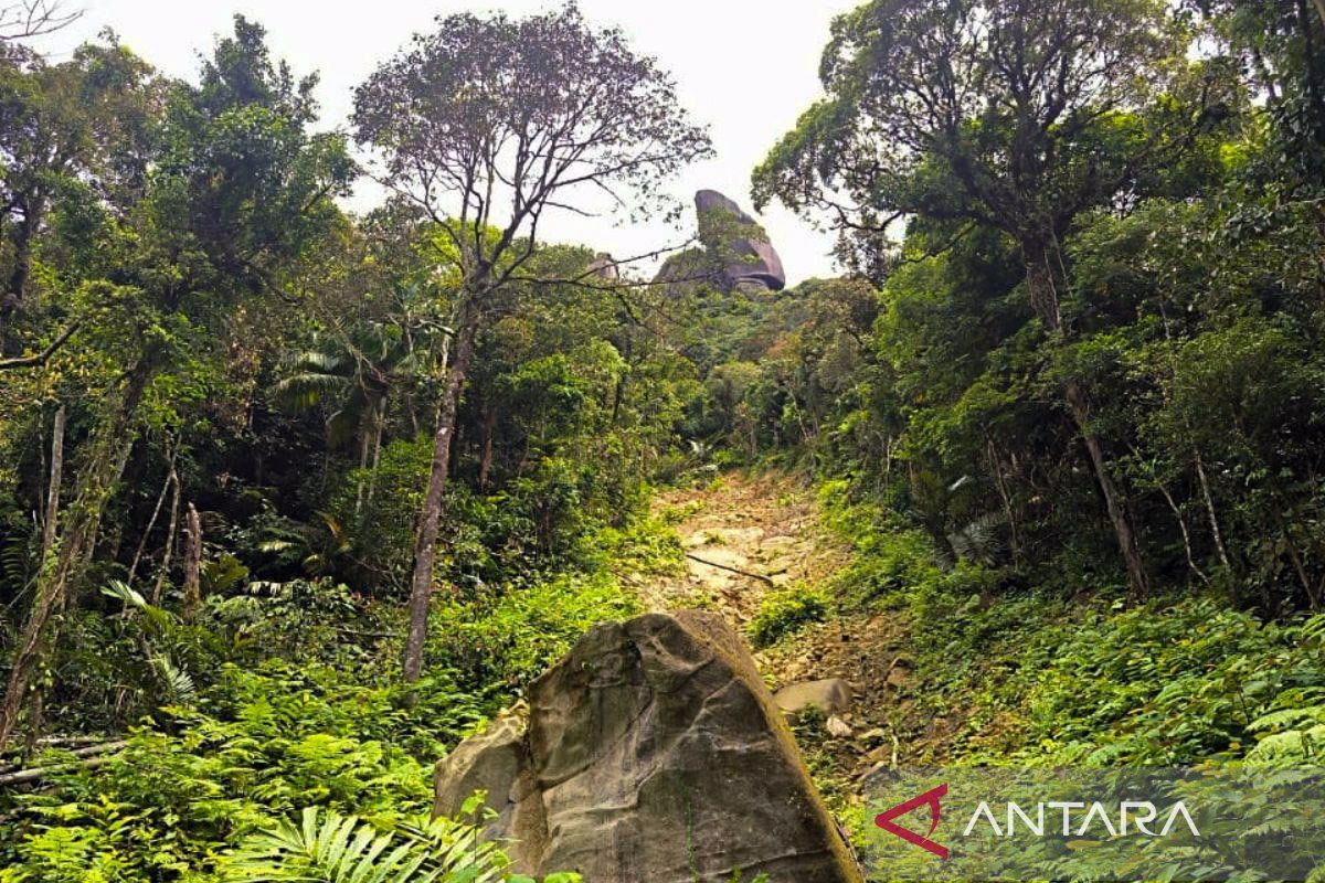 BPBD Natuna: Gunung Ranai berpotensi longsor