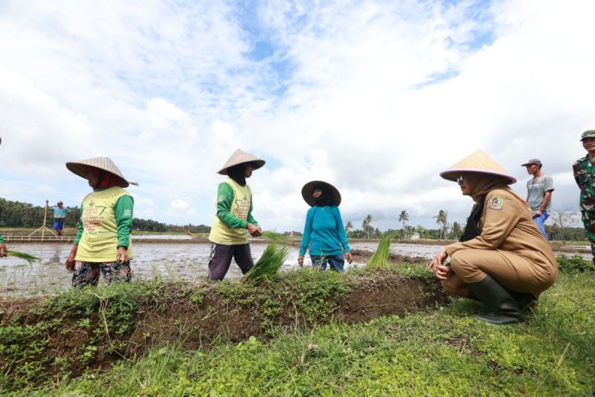 Pemkab Banyuwangi dorong penerapan pertanian terintegrasi