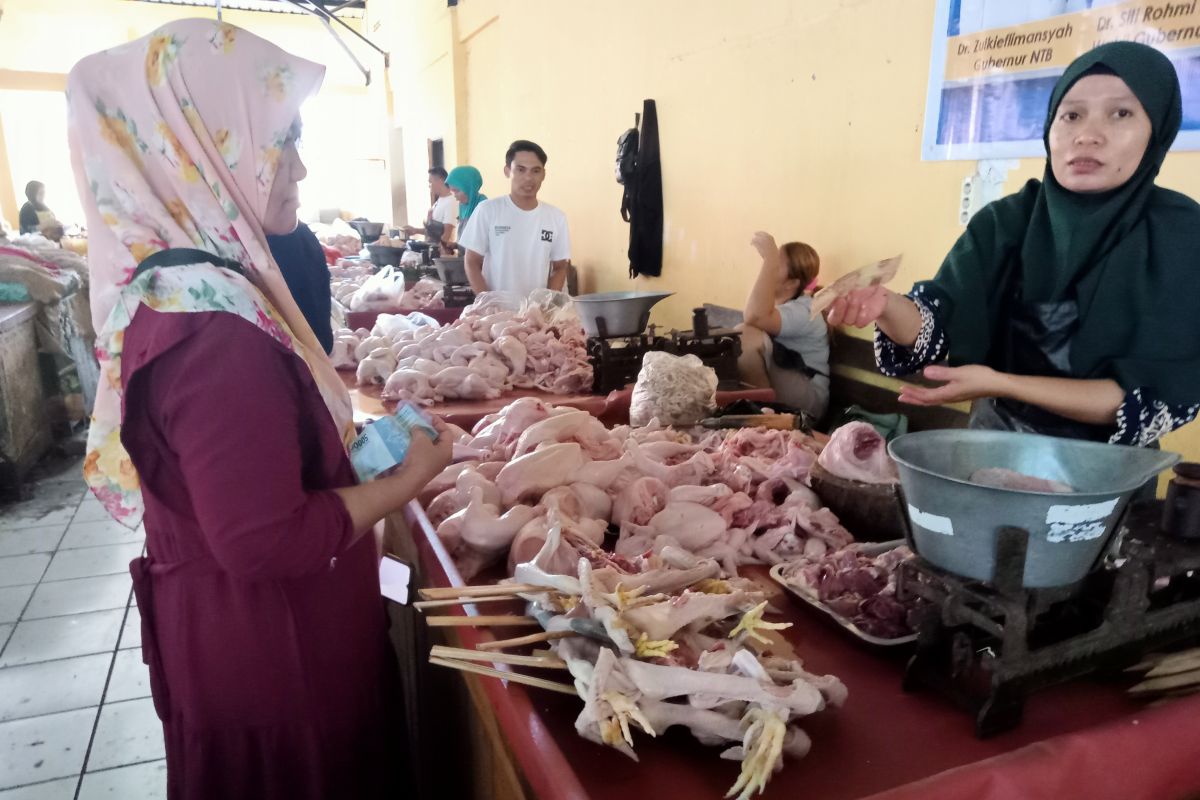 Stok daging beku di Mataram siap penuhi untuk kebutuhan Idul Adha