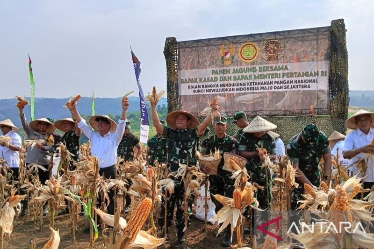 Program Ketahanan Pangan TNI AD di Sukabumi jadi proyek percontohan nasional