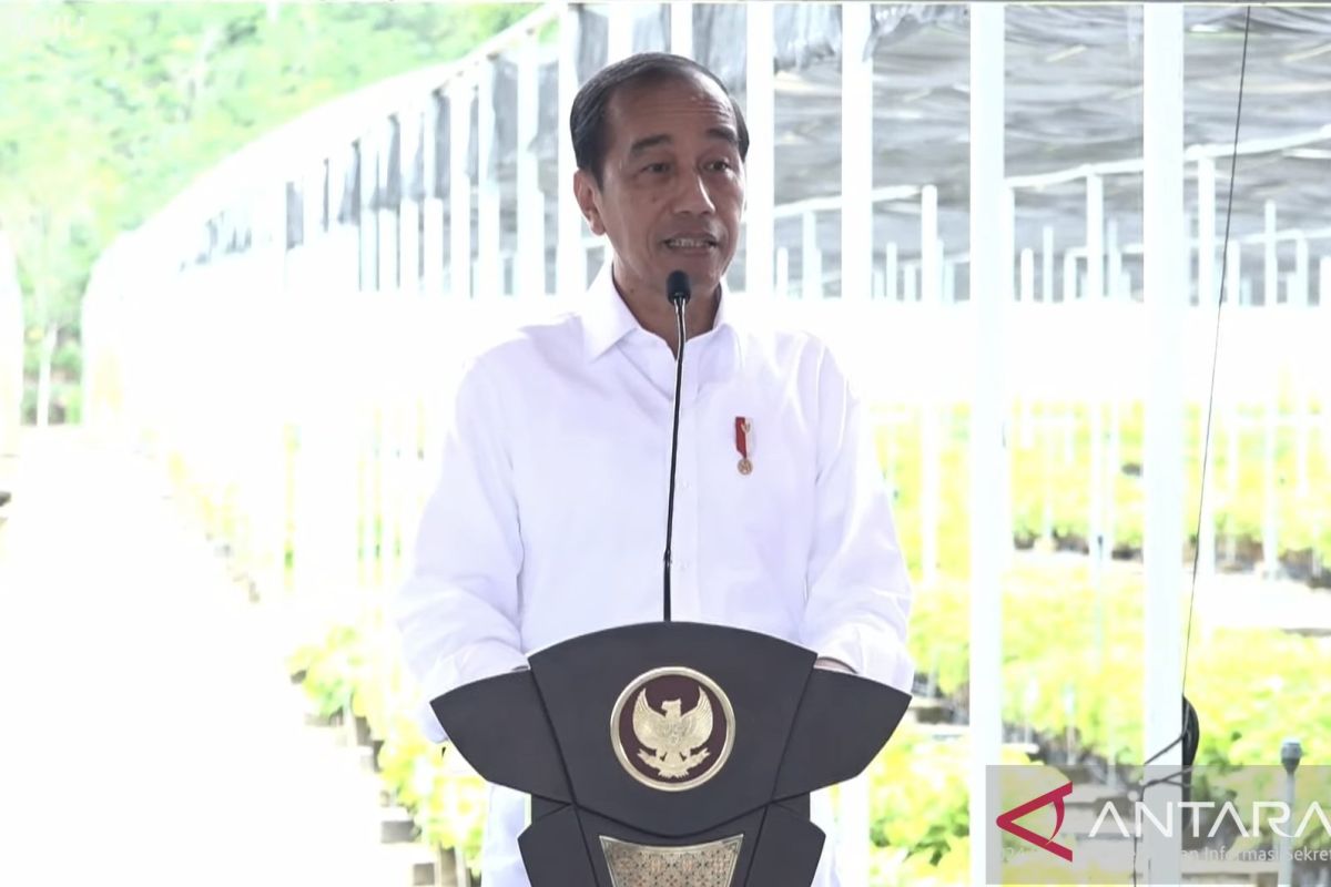 Presiden resmikan fasilitas persemaian 15 juta bibit di Mentawir