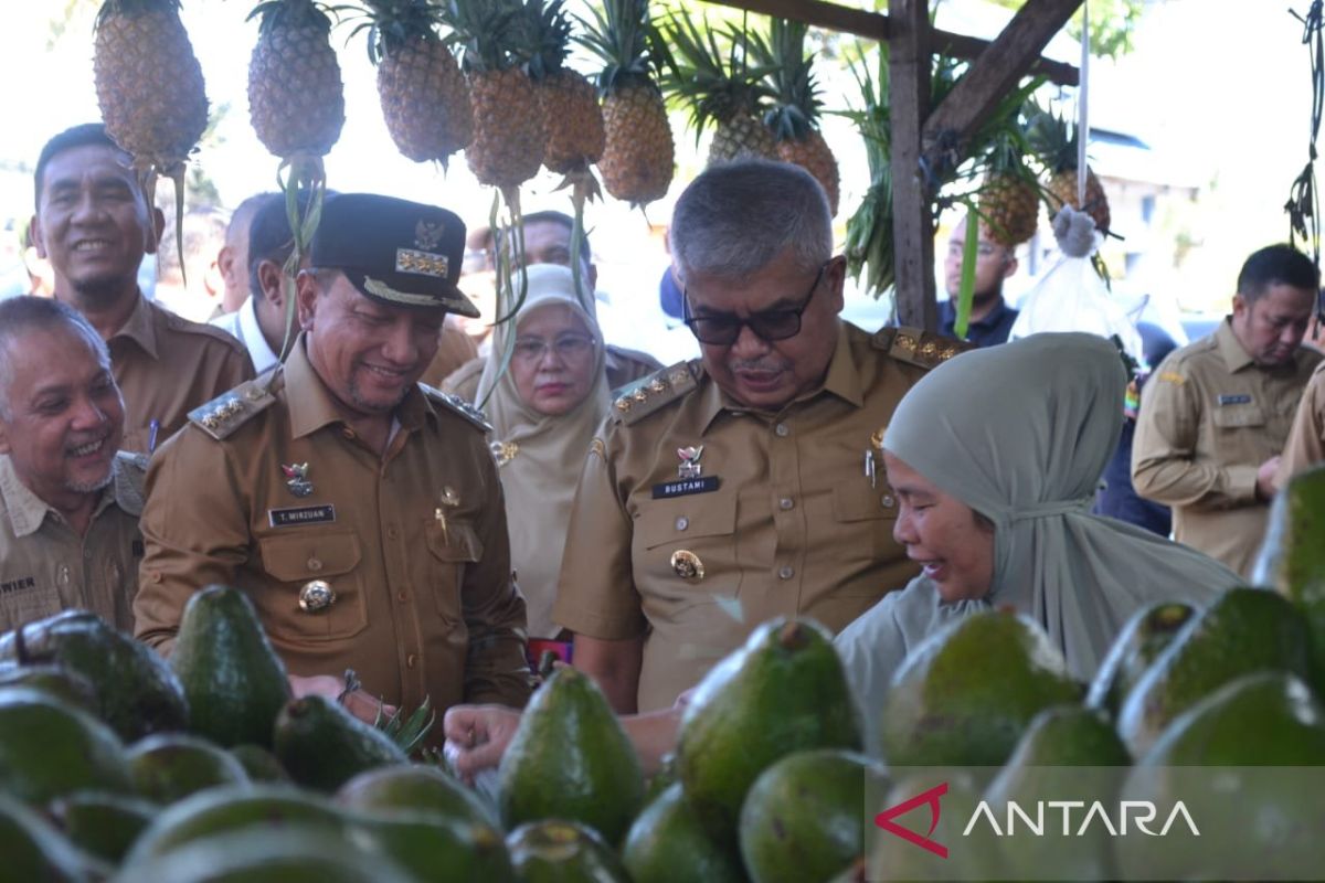 Ke Aceh Tengah, Pj gubernur tinjau pasar dan bahas pengendalian inflasi
