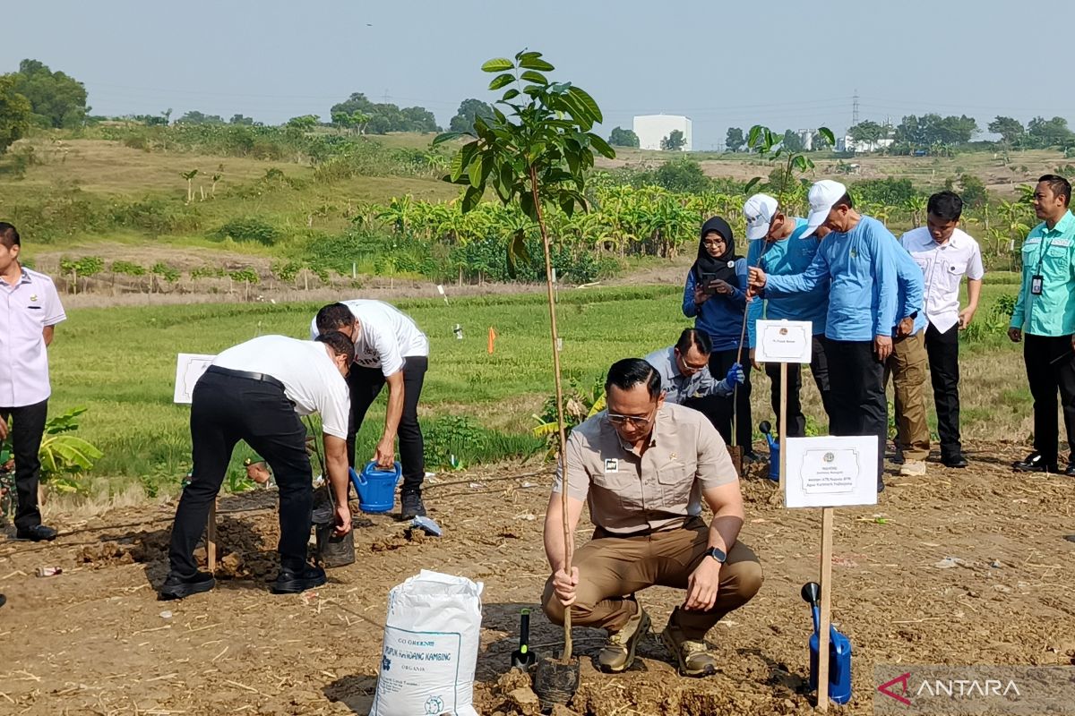 AHY siapkan lahan produksi biofuel guna percepat transisi energi