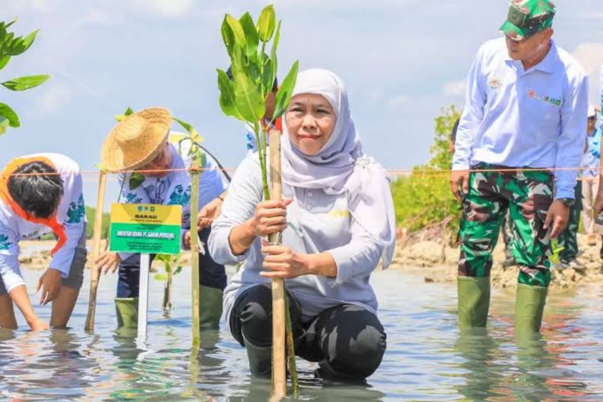 Khofifah: Perlunya tindakan konsisten untuk pulihkan ekosistem kehidupan