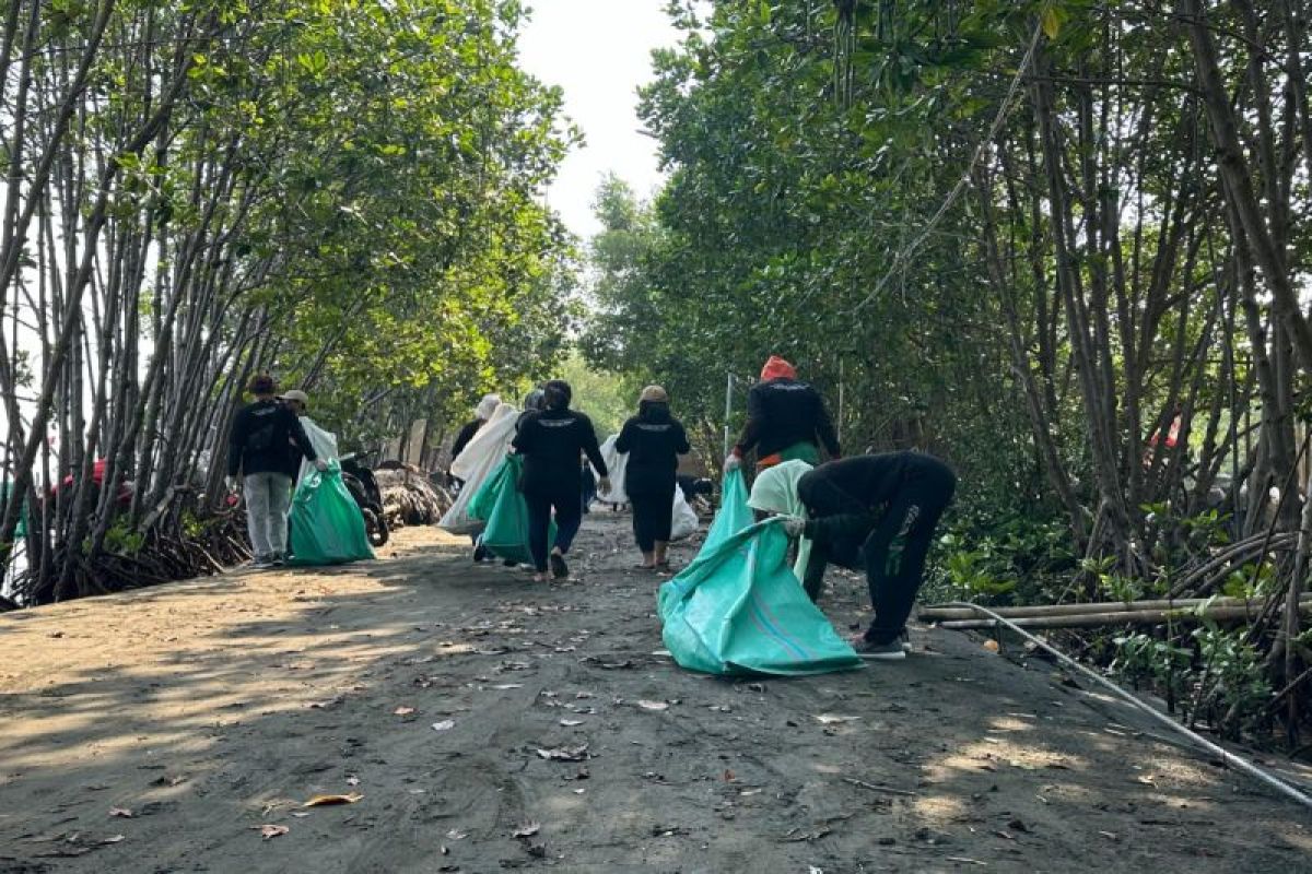 PLN group Jateng gelar aksi bersih pantai peringati Hari Lingkungan Hidup Sedunia