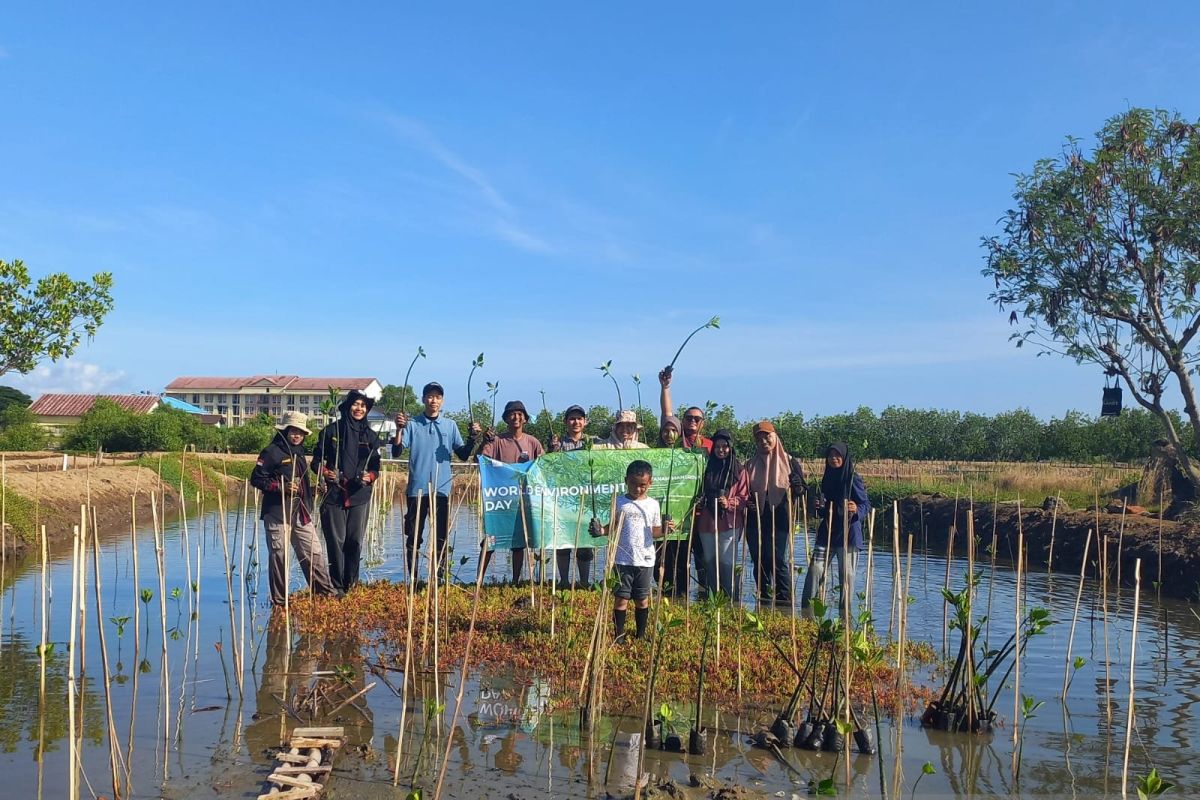 Peringatan hari lingkungan hidup Sedunia, FJL Aceh tanam mangrove di pesisir Lampulo