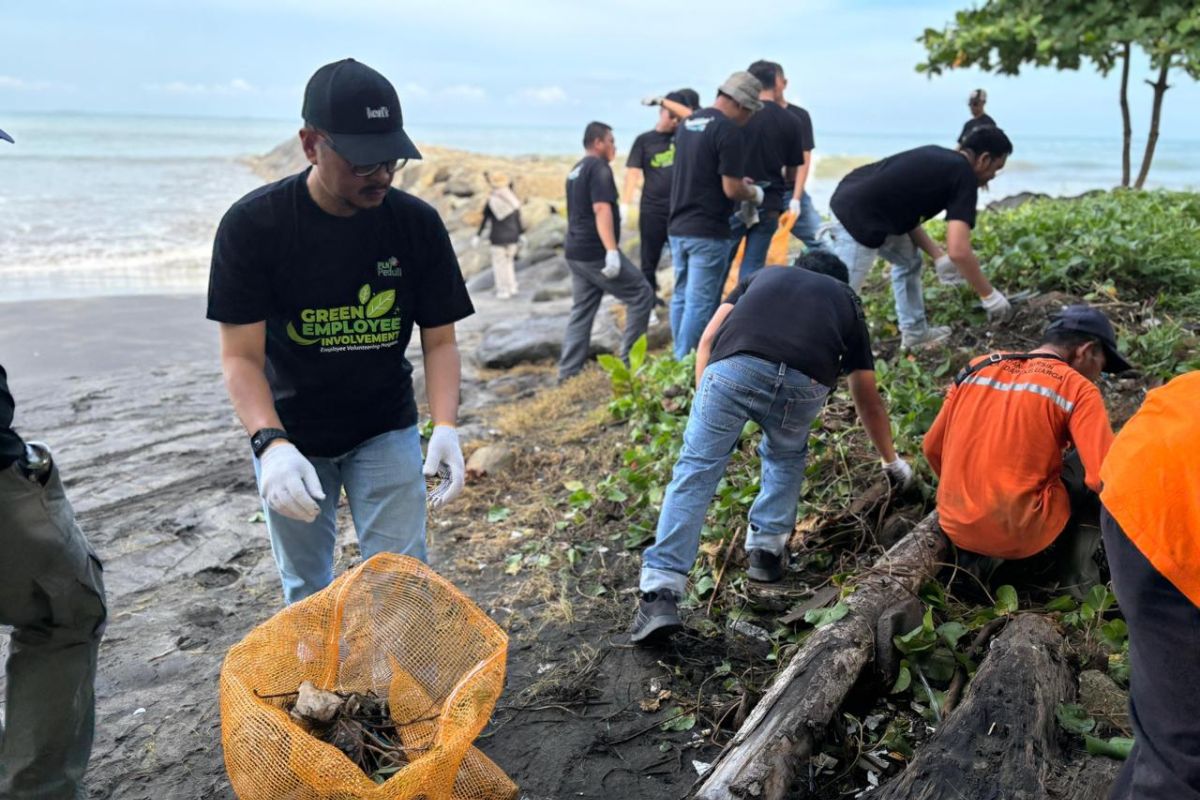 Hari lingkungan hidup sedunia 2024, ratusan volunter PLN gelar aksi bersih pantai