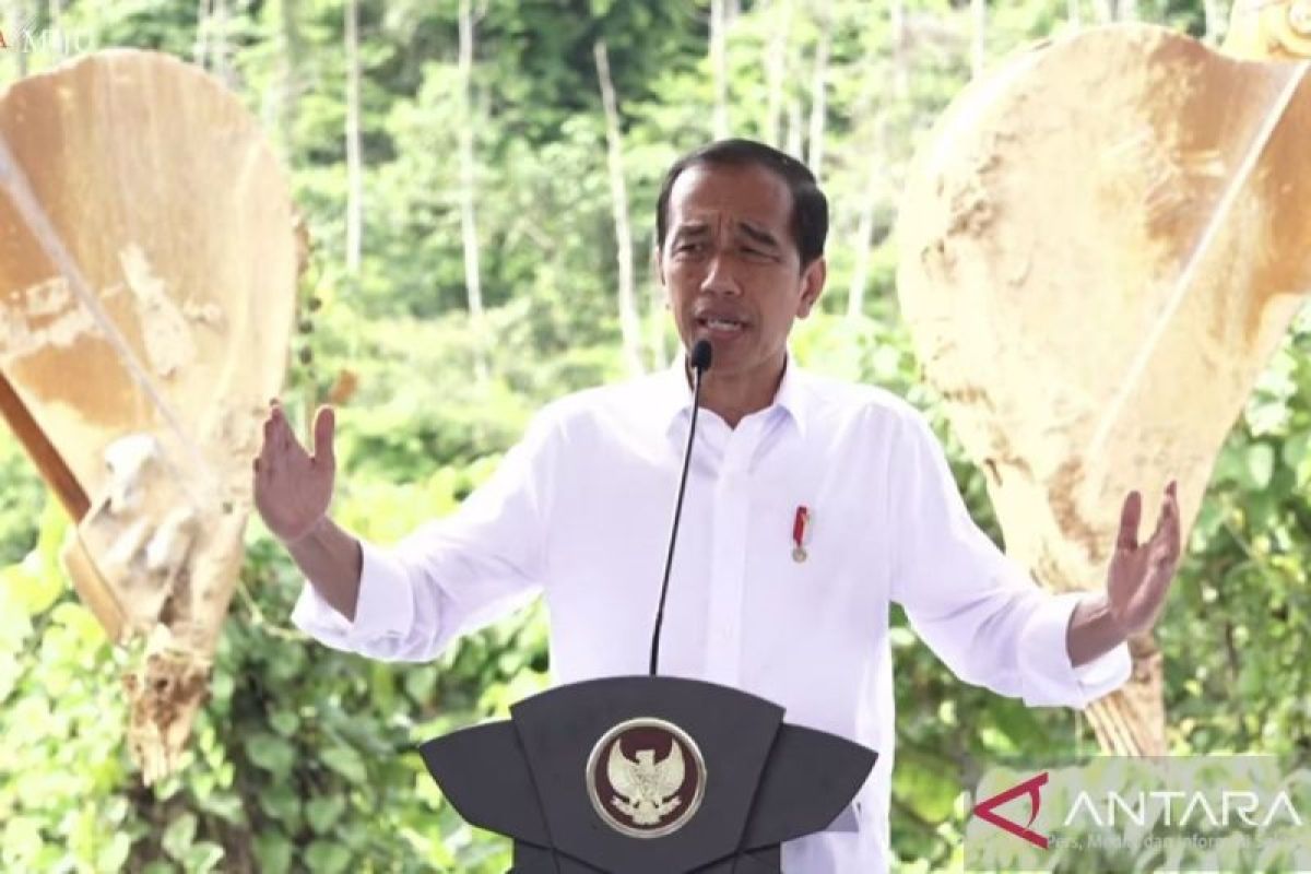 Presiden Jokowi yakin kualitas udara IKN lebih baik dari Melbourne dan Paris
