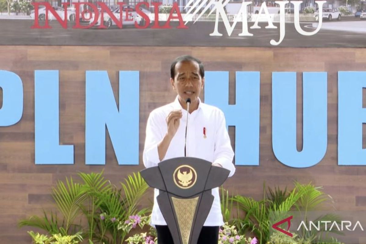 Presiden Jokowi minta PLN tangkap investasi lewat peluang sumber energi hijau