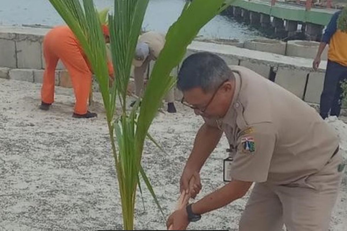 Warga Pulau Untung Jawa tanami kelapa sambut hari lingkungan sedunia