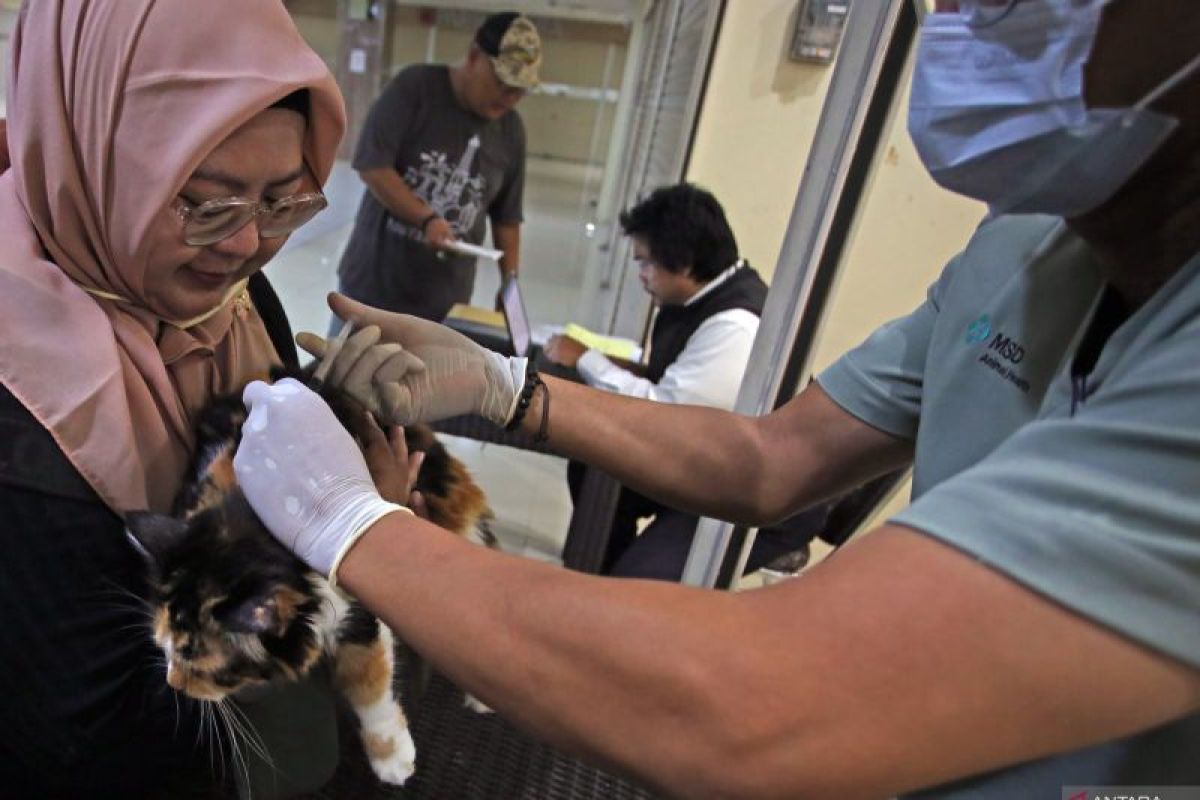 Anjing penggigit bocah di Jakarta Selatan dikarantina