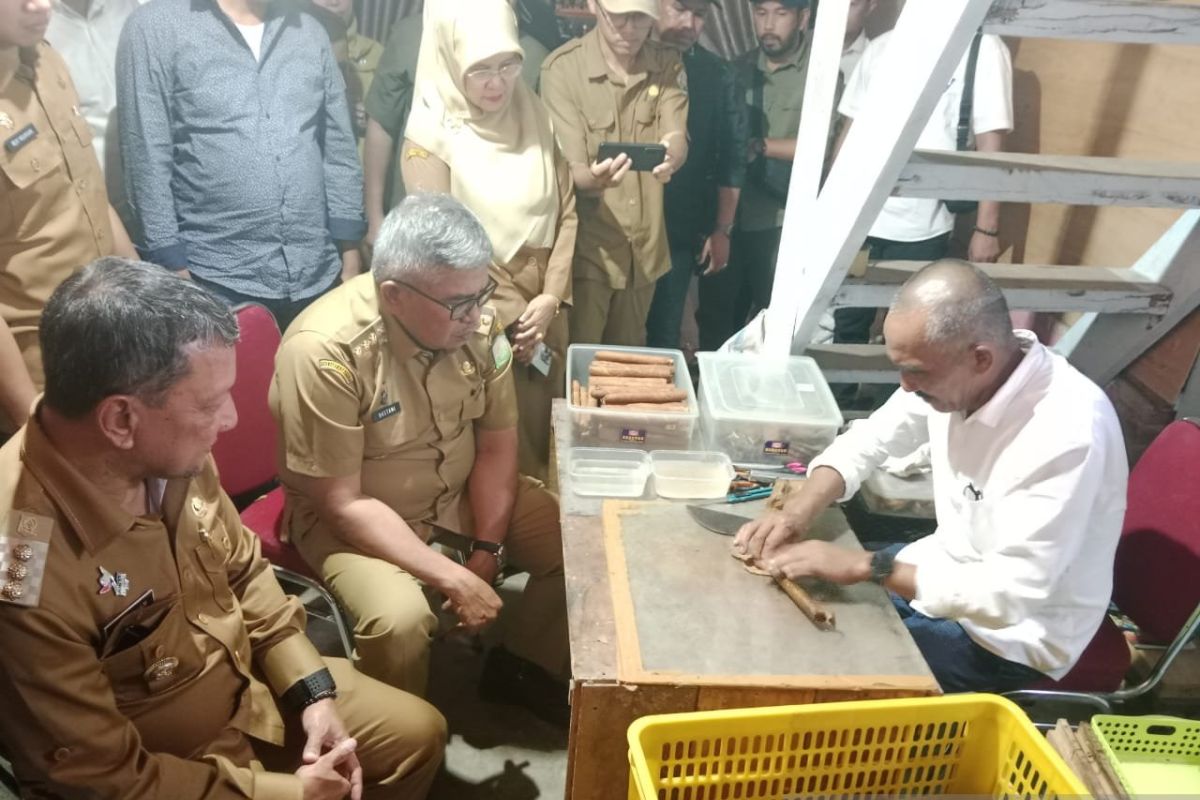 Pj Gubernur Aceh tinjau sentra produksi tembakau Gayo di Takengon