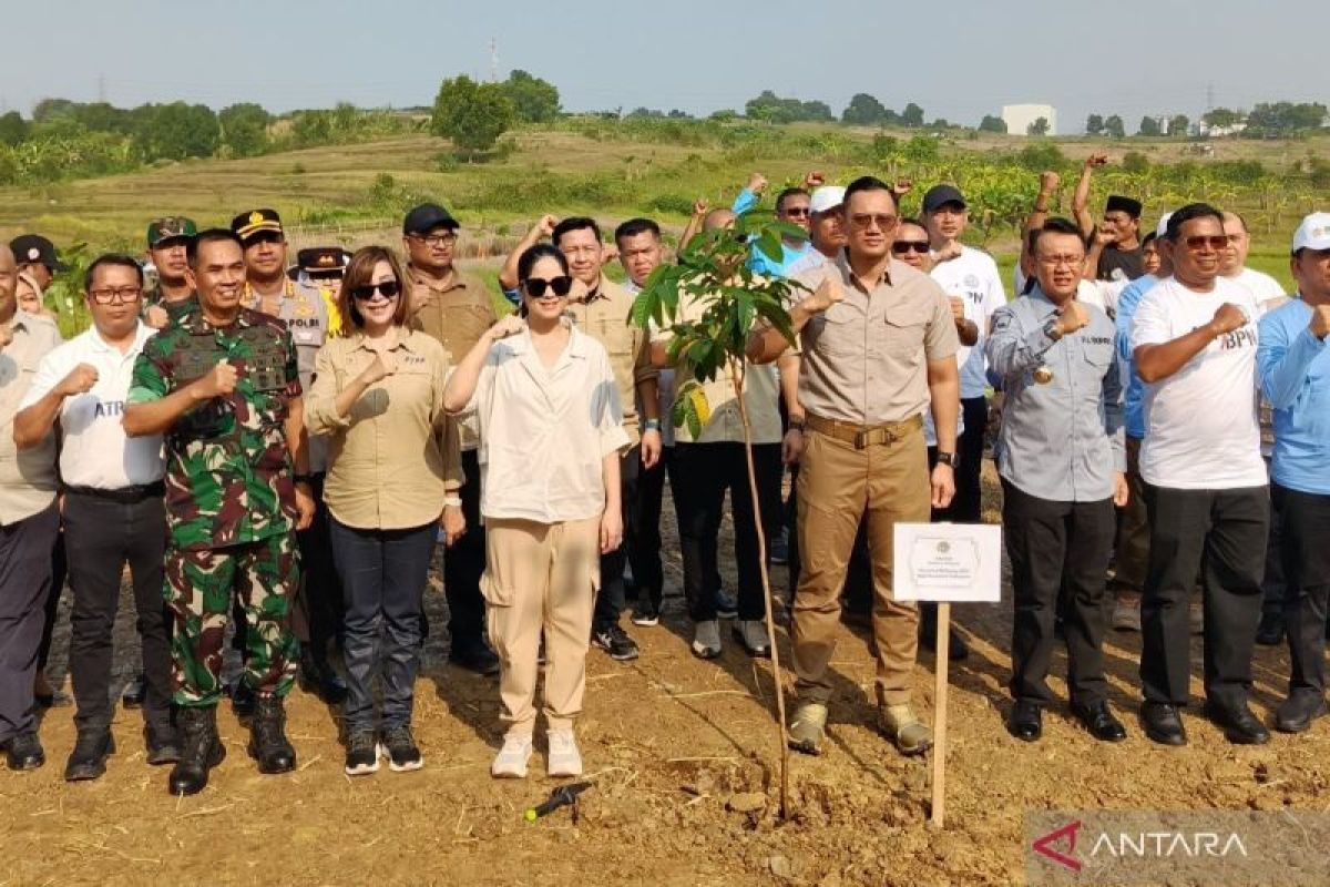 Peringati Hari Lingkungan Hidup Sedunia, Kementerian ATR/BPN tanam 100 ribu pohon