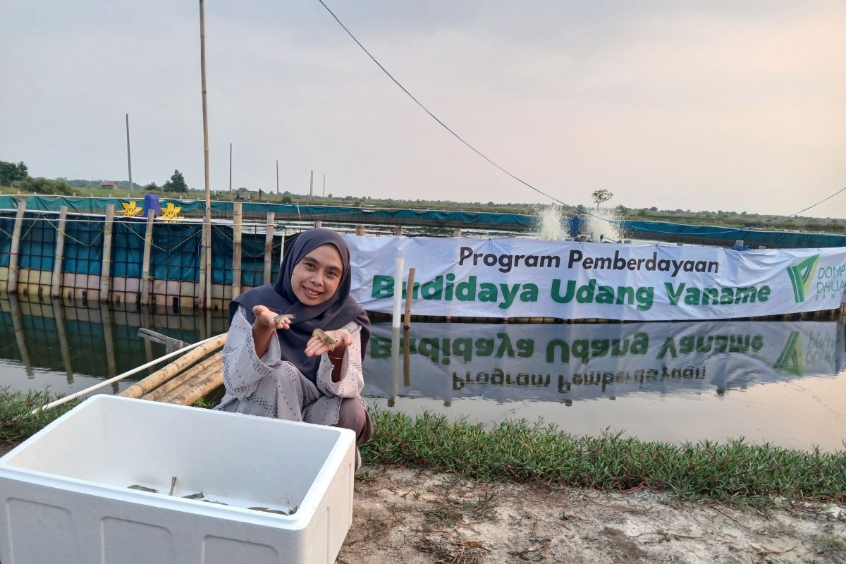 Kembangkan udang vana memajukan petambak tradisional