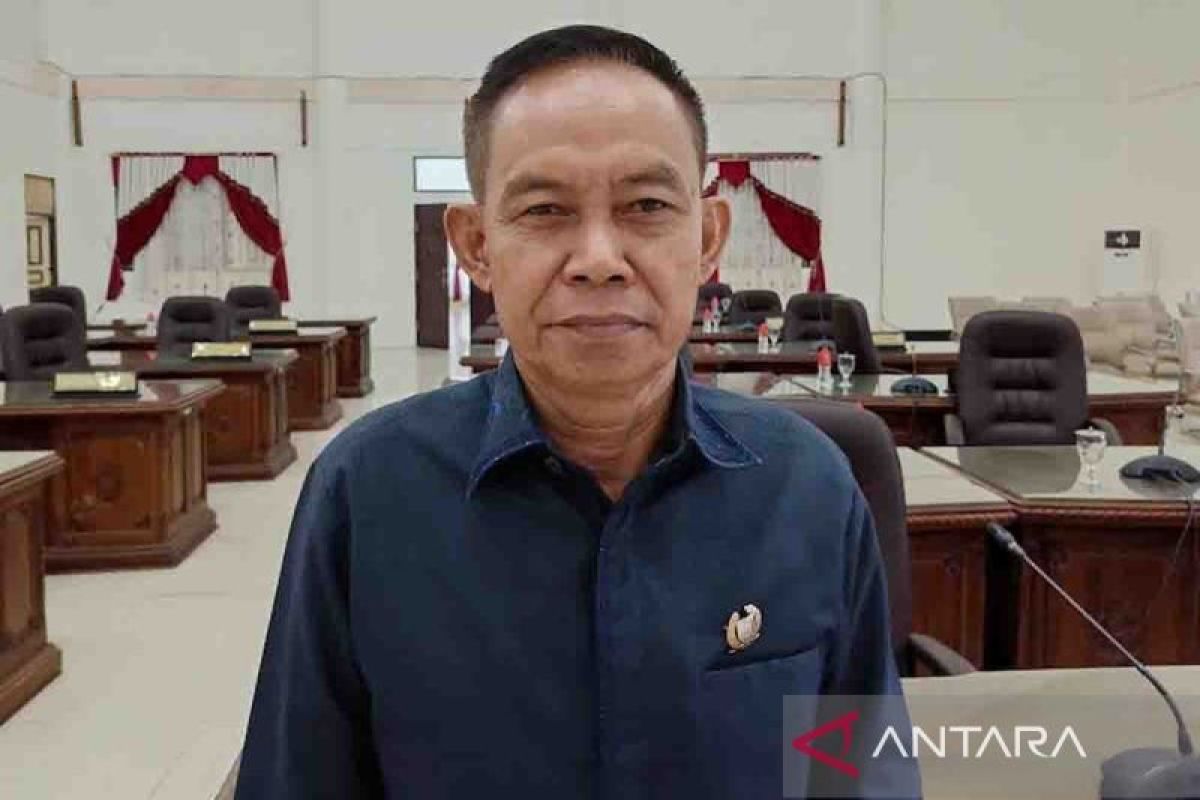 Anggota DPRD Barito Selatan minta pengawasan proyek diperketat