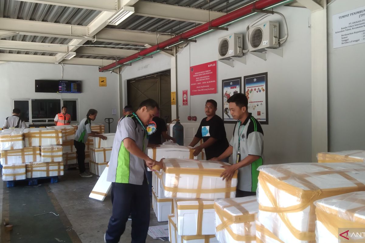 Bandara Ngurah Rai Bali miliki peluang jadi hub kargo