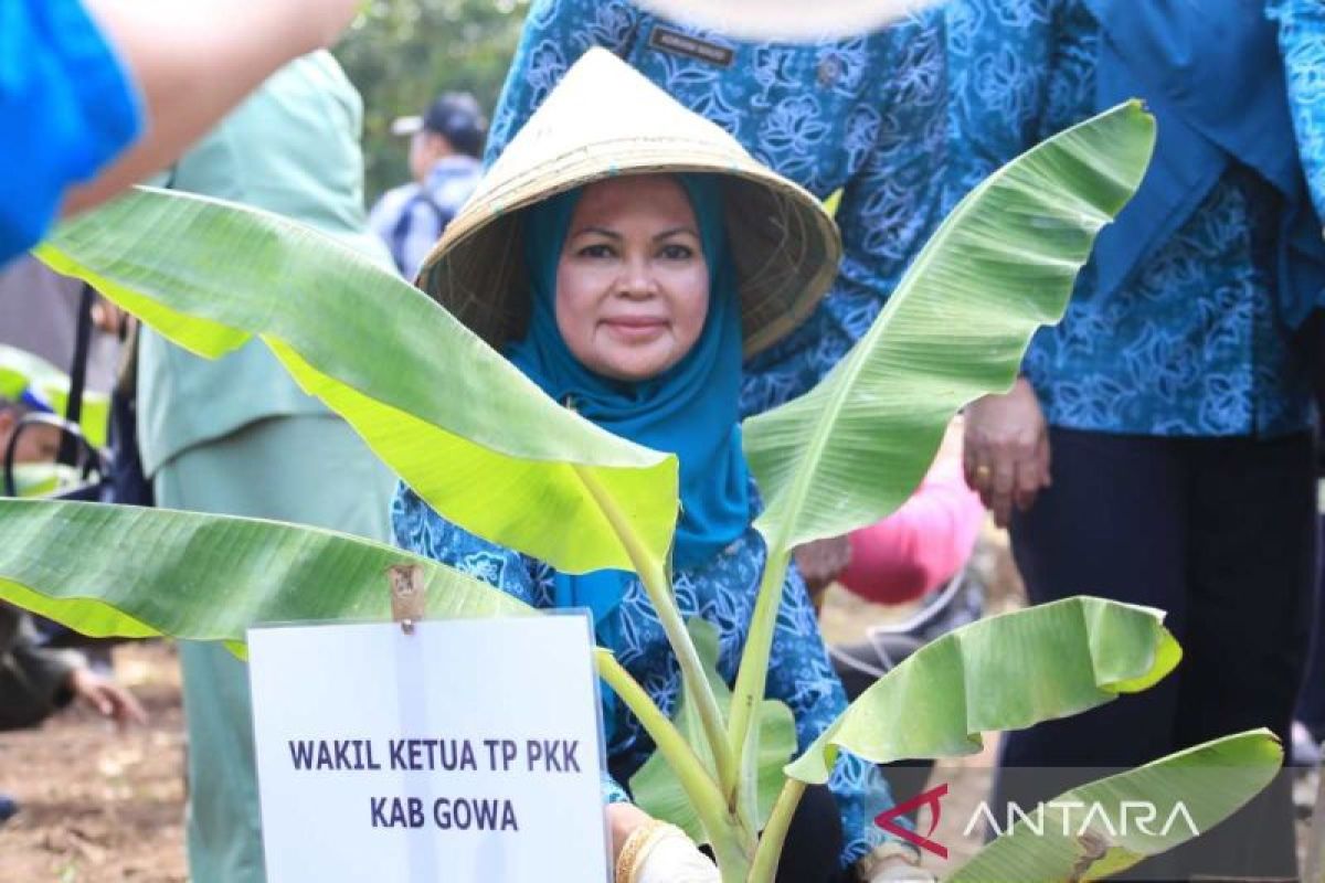 Sebanyak 30 ribu bibit cabai dan pisang cavendish ditanam serentak di Gowa