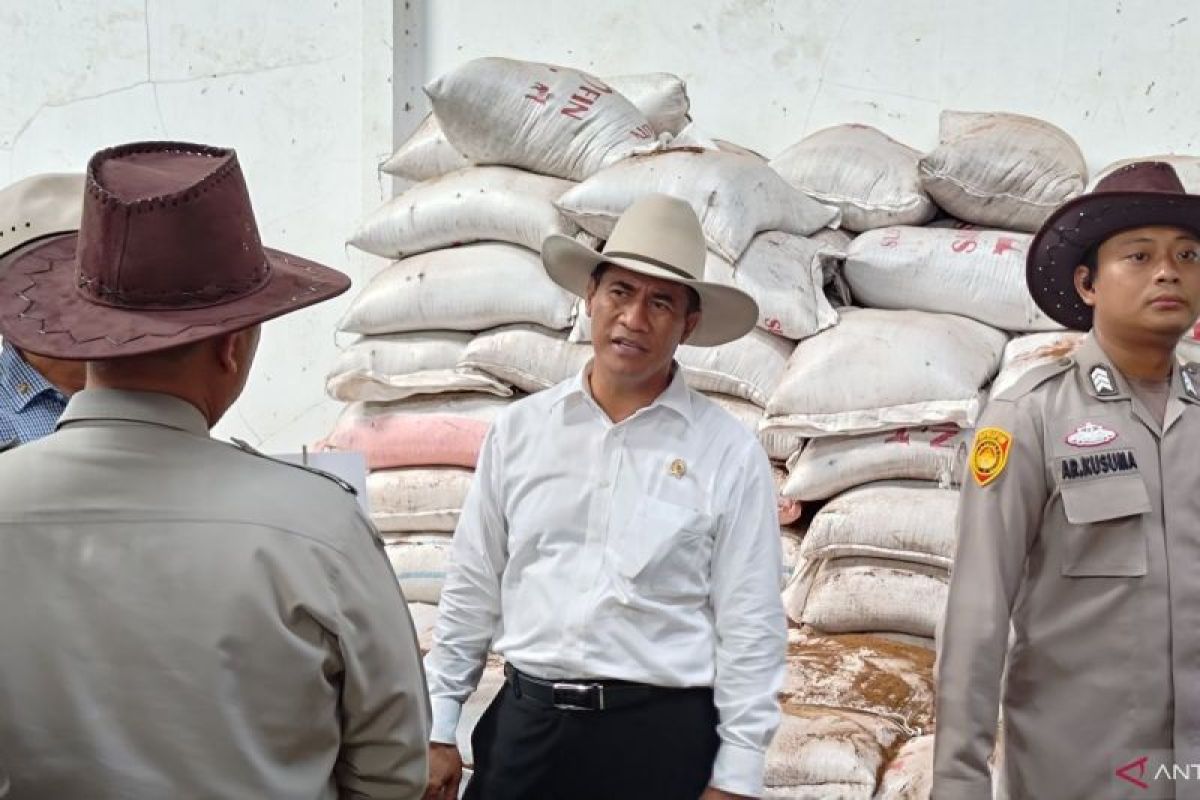 Mentan Andi Amran Sulaiman jamin stabilitas pasokan dan harga pangan