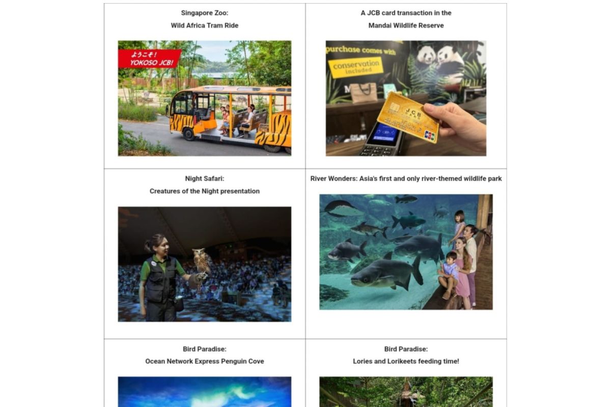 JCB collaborates with Singapore's Mandai Wildlife Group to promote wildlife park visitorship