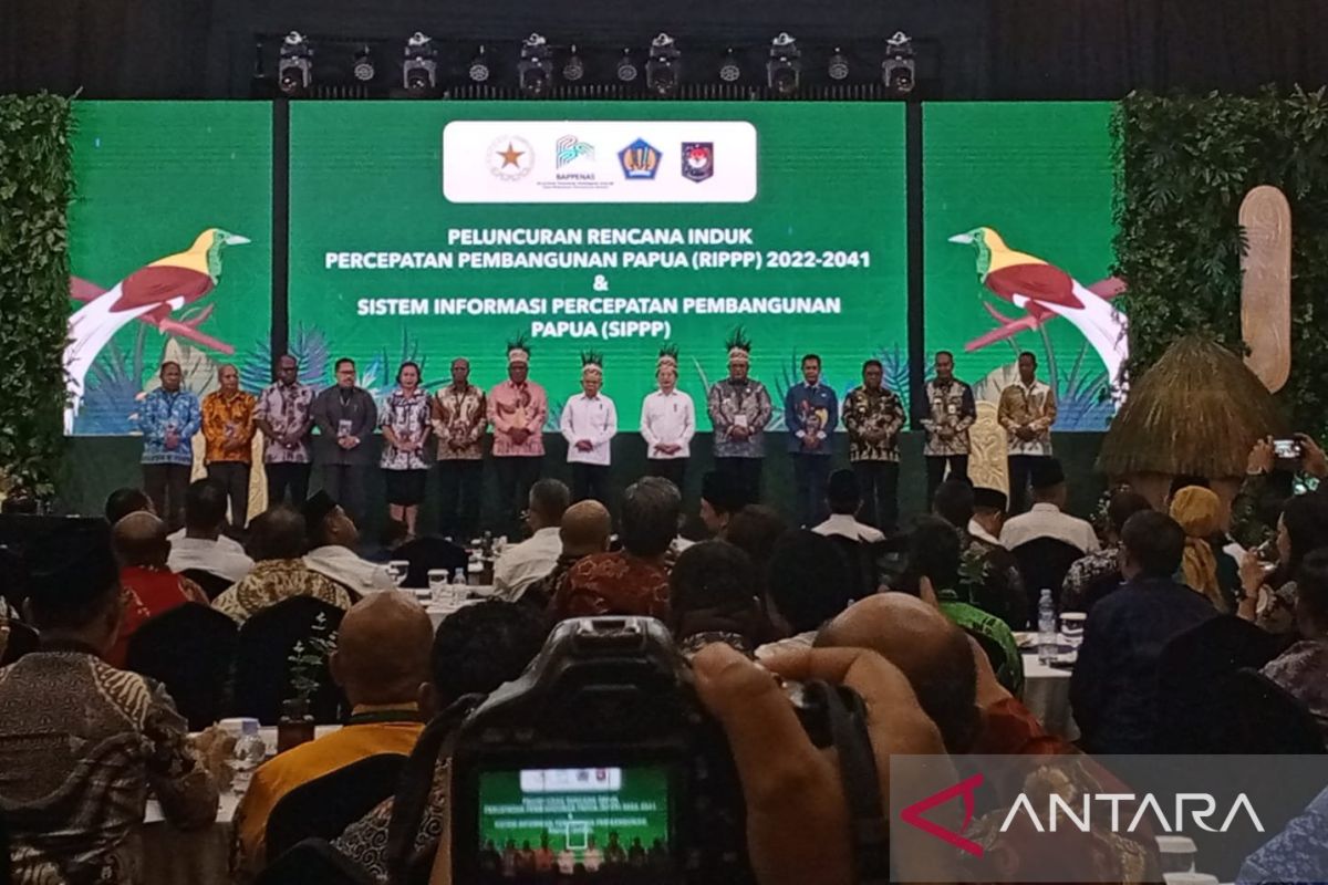 Wapres Ma'ruf Ami resmikan peluncuran RIPPP dan SIPPP percepat pembangunan Papua