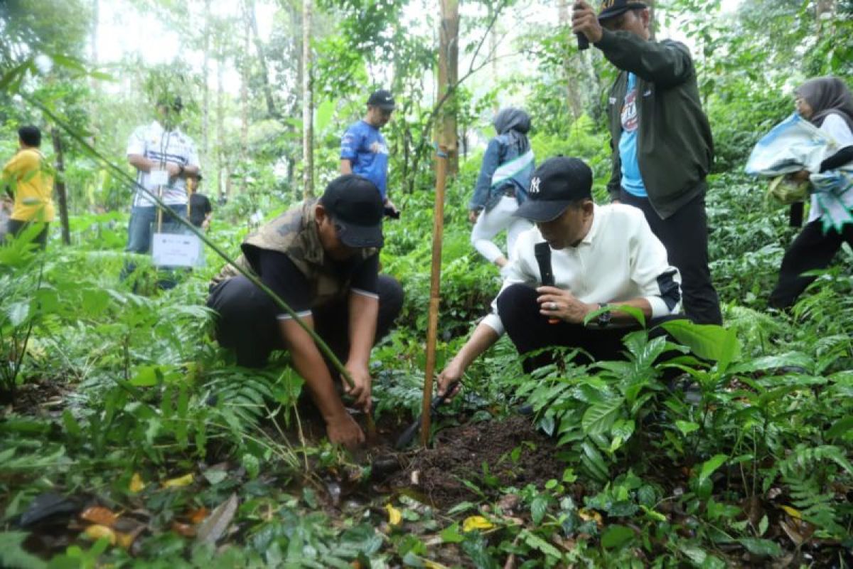 Kawasan sumber mata air di Lombok Tengah ditanami pohon