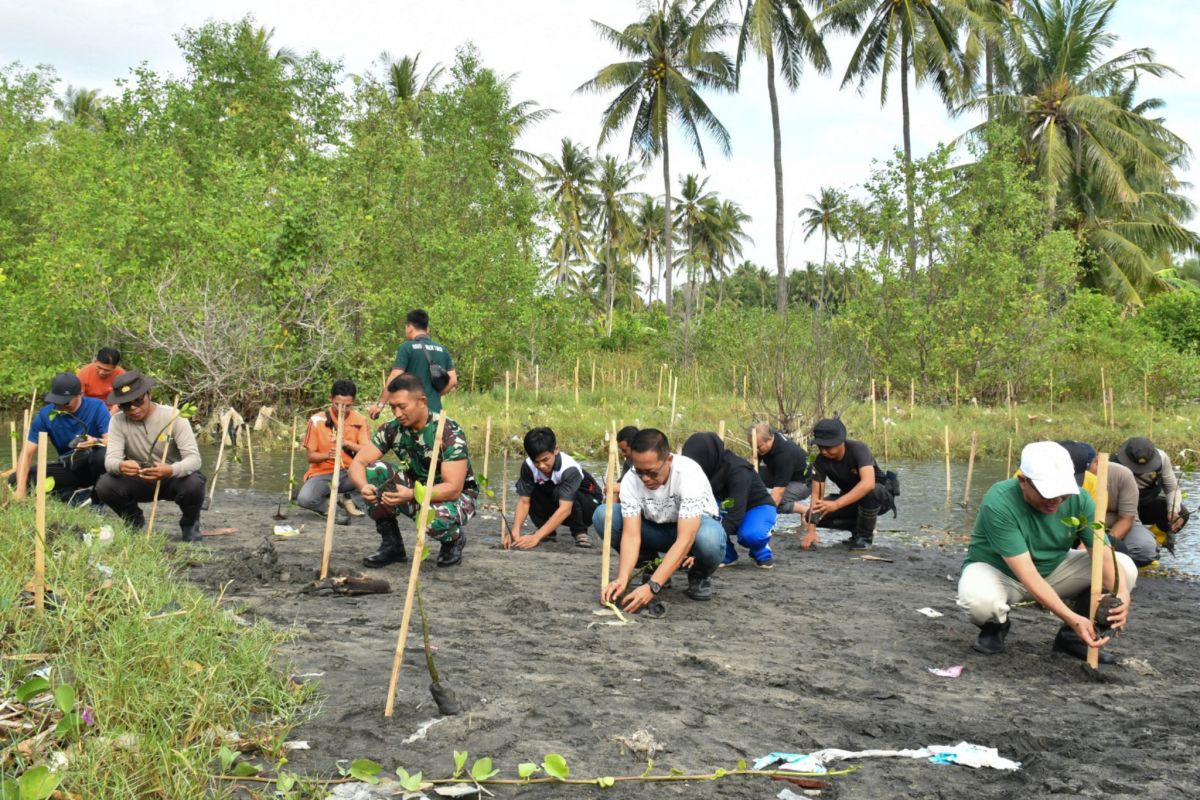 Kawasan pesisir pantai di Lombok Timur-NTB ditanami pohon bakau