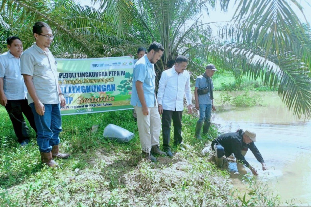 PTPN IV PalmCo perluas program pelestarian lingkungan melalui penyaluran puluhan ribu bibit pohon & ikan