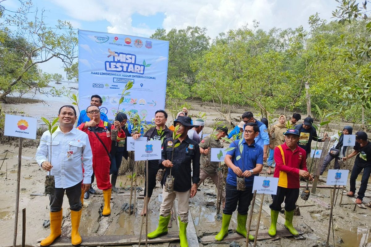 Libatkan Komunitas dan Pemuda Pesisir, SKK Migas - PetroChina Tanam 35.000 Pohon Mangrove di Pangkal Babu