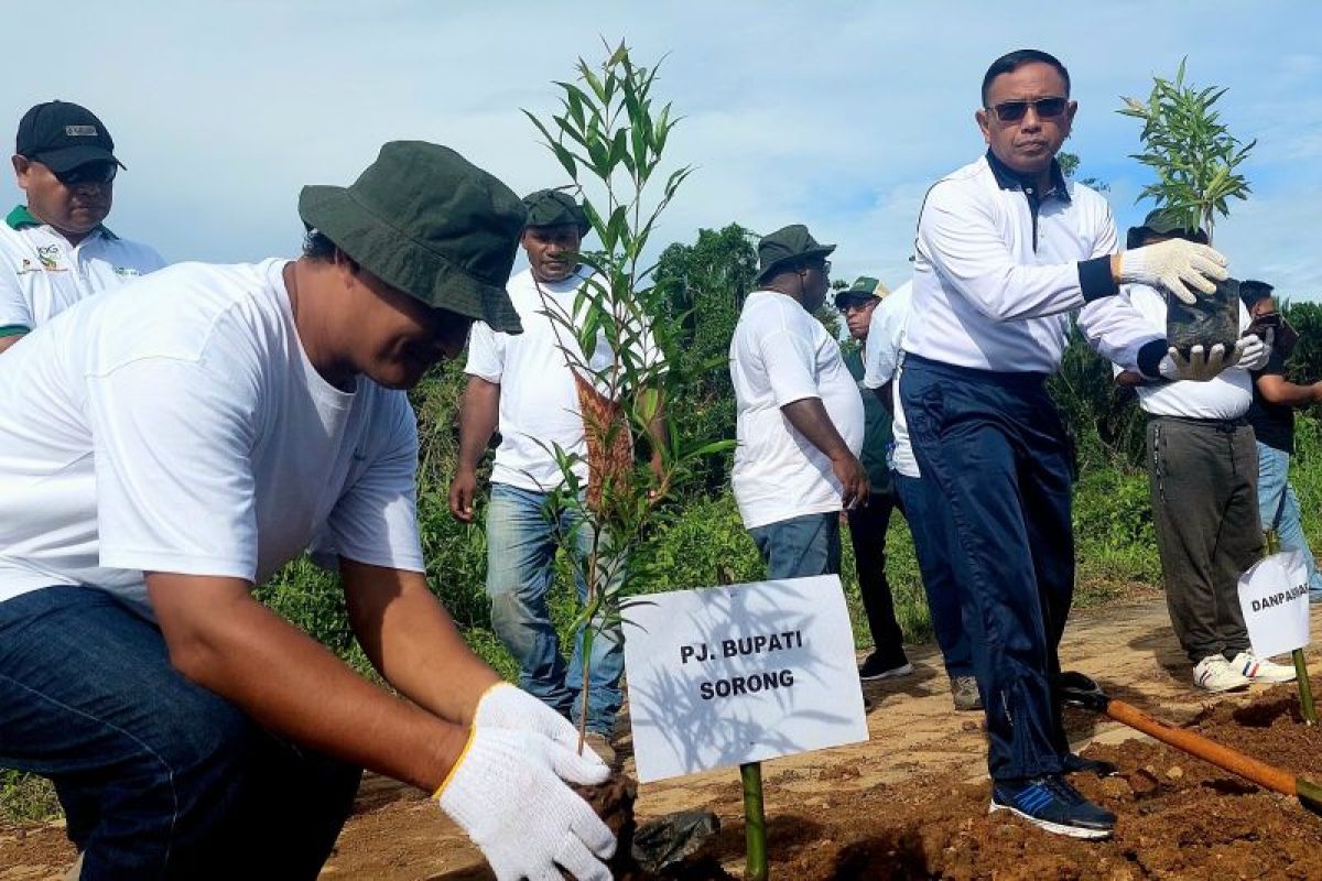 Pemkab Sorong tanam 500 pohon lestarikan alam di Distrik Aimas