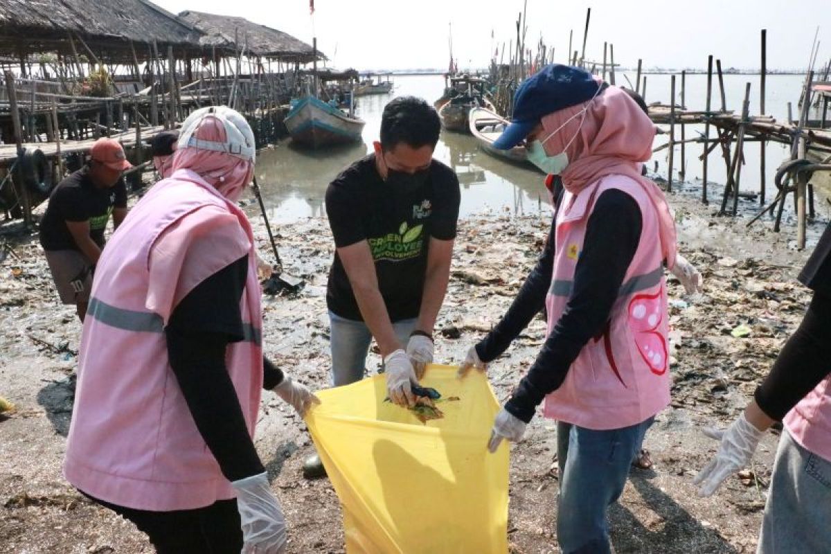 Relawan-pegawai PLN Banten kolaborasi bersih sampah di Pantai Terang