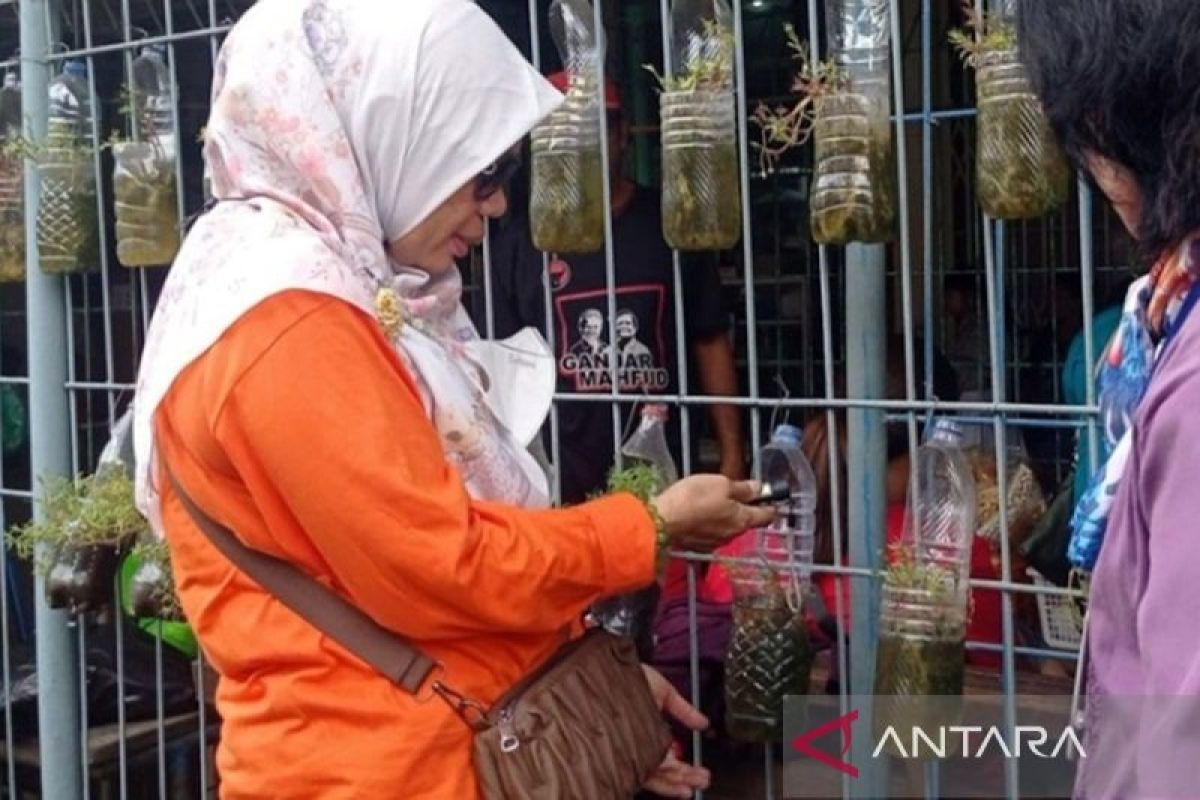 Tren kasus DBD di Jakarta Barat terus menurun