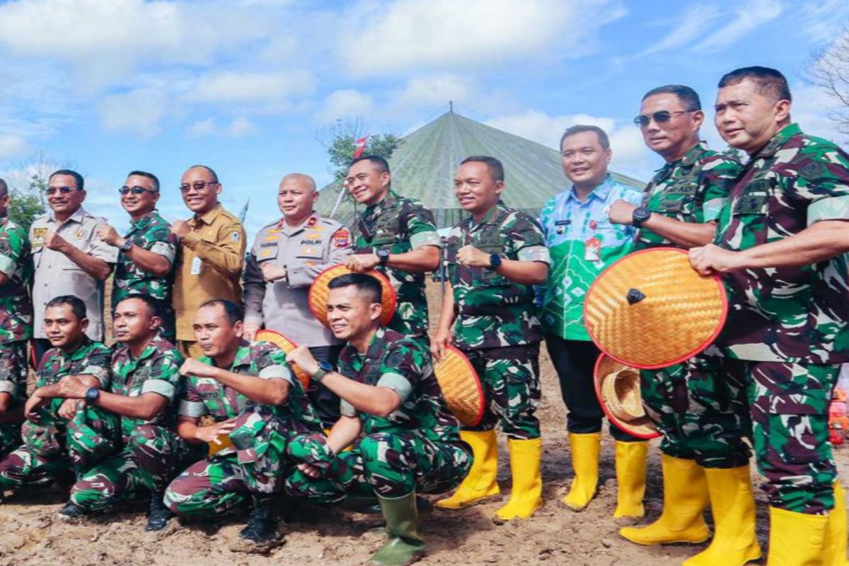 TNI AD-Pemkot Banjarbaru berkolaborasi tingkatkan produksi pertanian