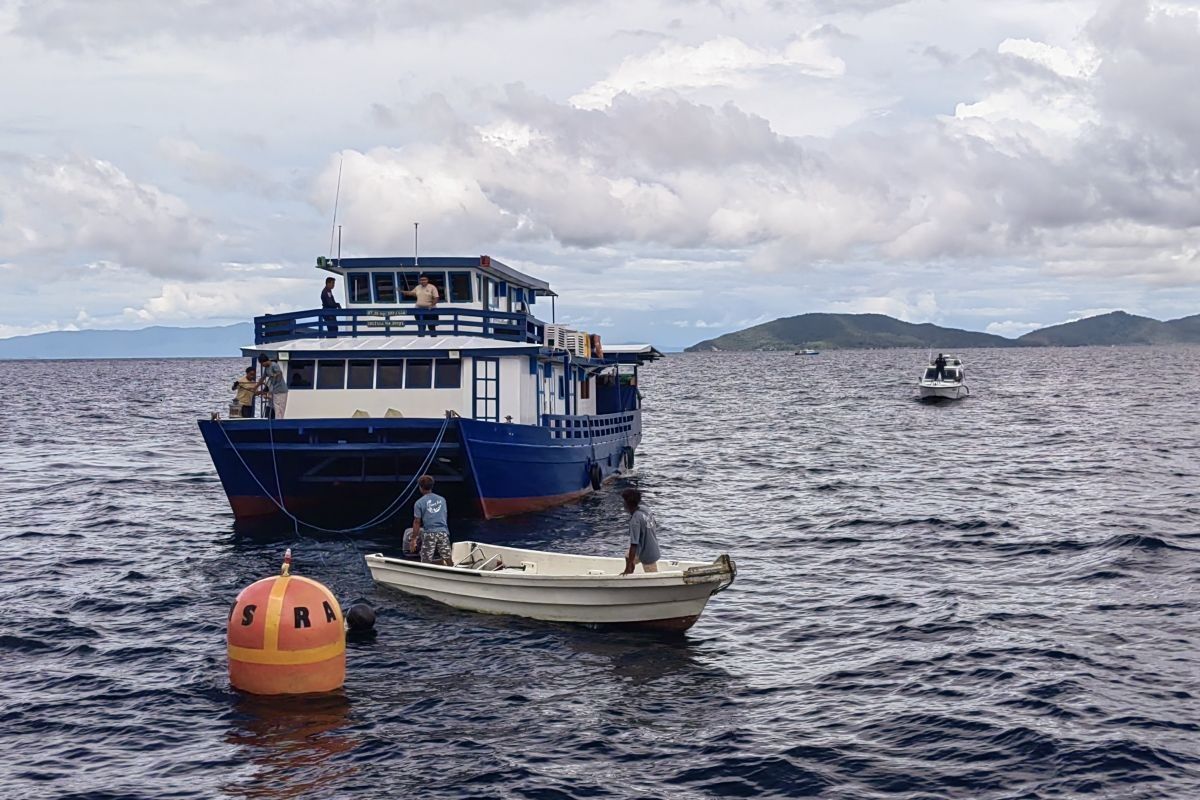 Raja Ampat butuh 107 tambat labuh untuk lindungi kelestarian terumbu karang