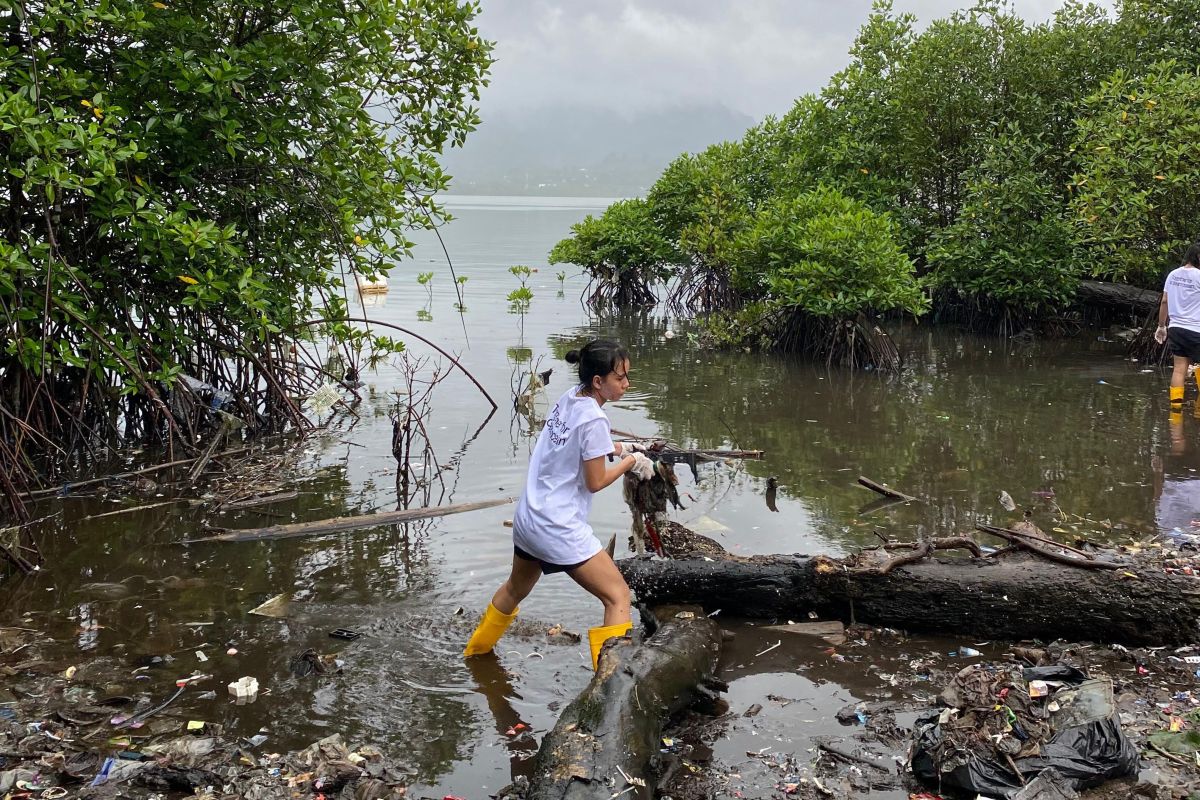 The Mulung kumpulkan sampah sebanyak 2,5 ton di sepanjang Pantai Lateri Ambon
