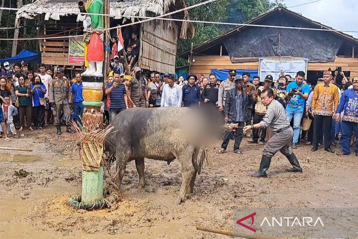 Tiwah massal diharap jadi agenda tahunan tunjang pariwisata Gumas