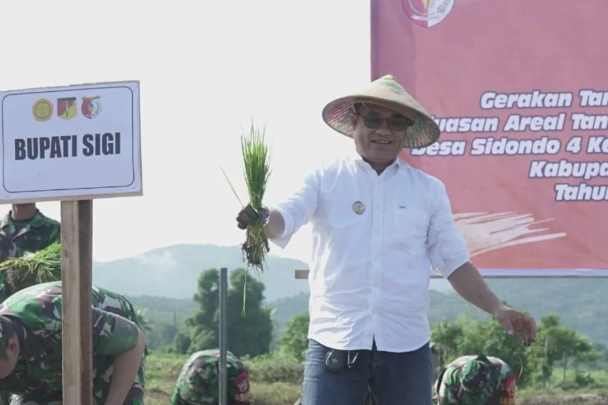 Sigi tingkatkan produksi pangan melalui perluasan areal tanam