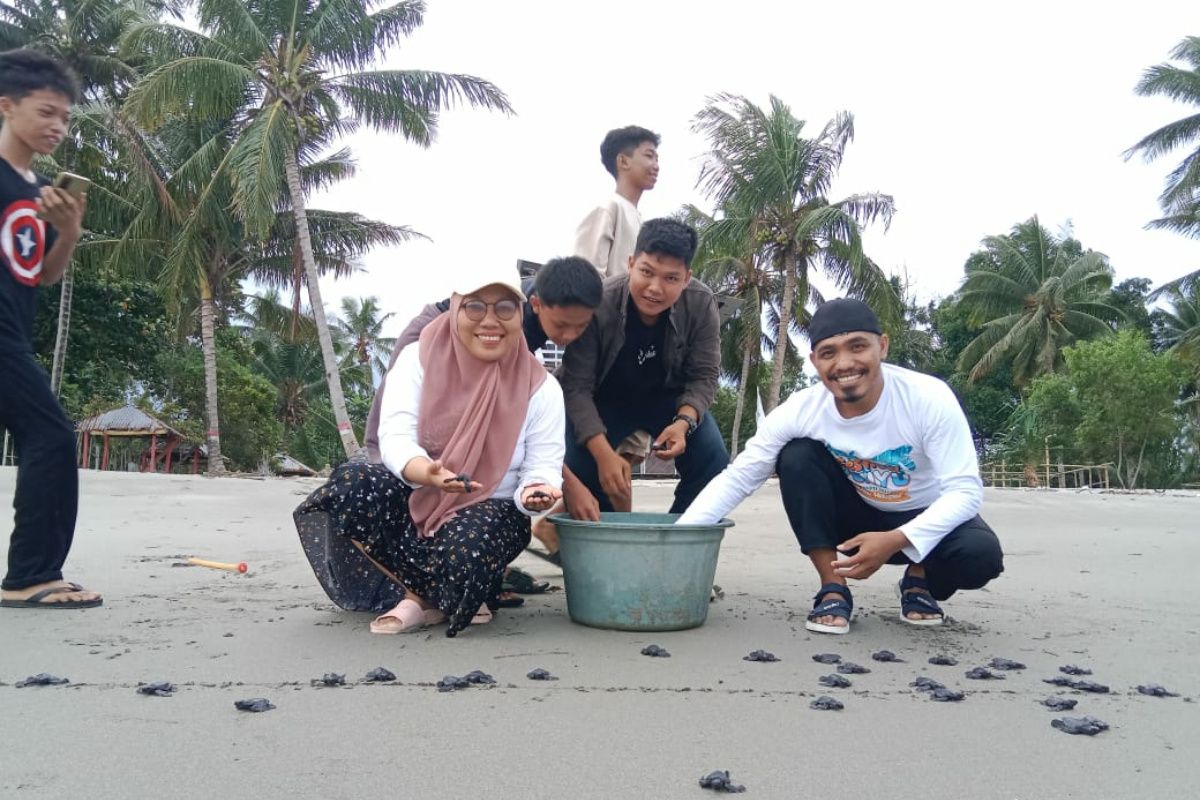 Aktivis lingkungan Polewali Mandar menggelar aksi bersih pantai