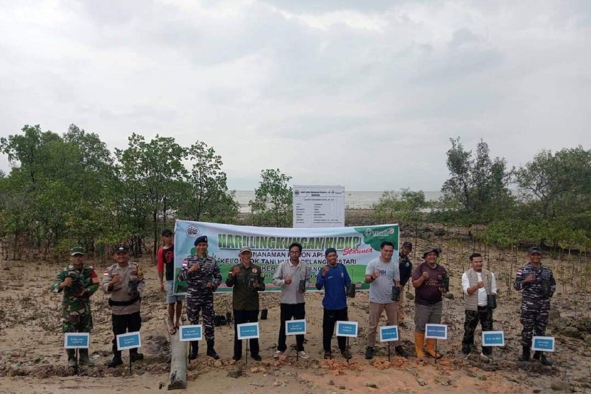 PT Timah bersama kelompok tani tanam 2.000 mangrove cegah abrasi Pantai Pongkar