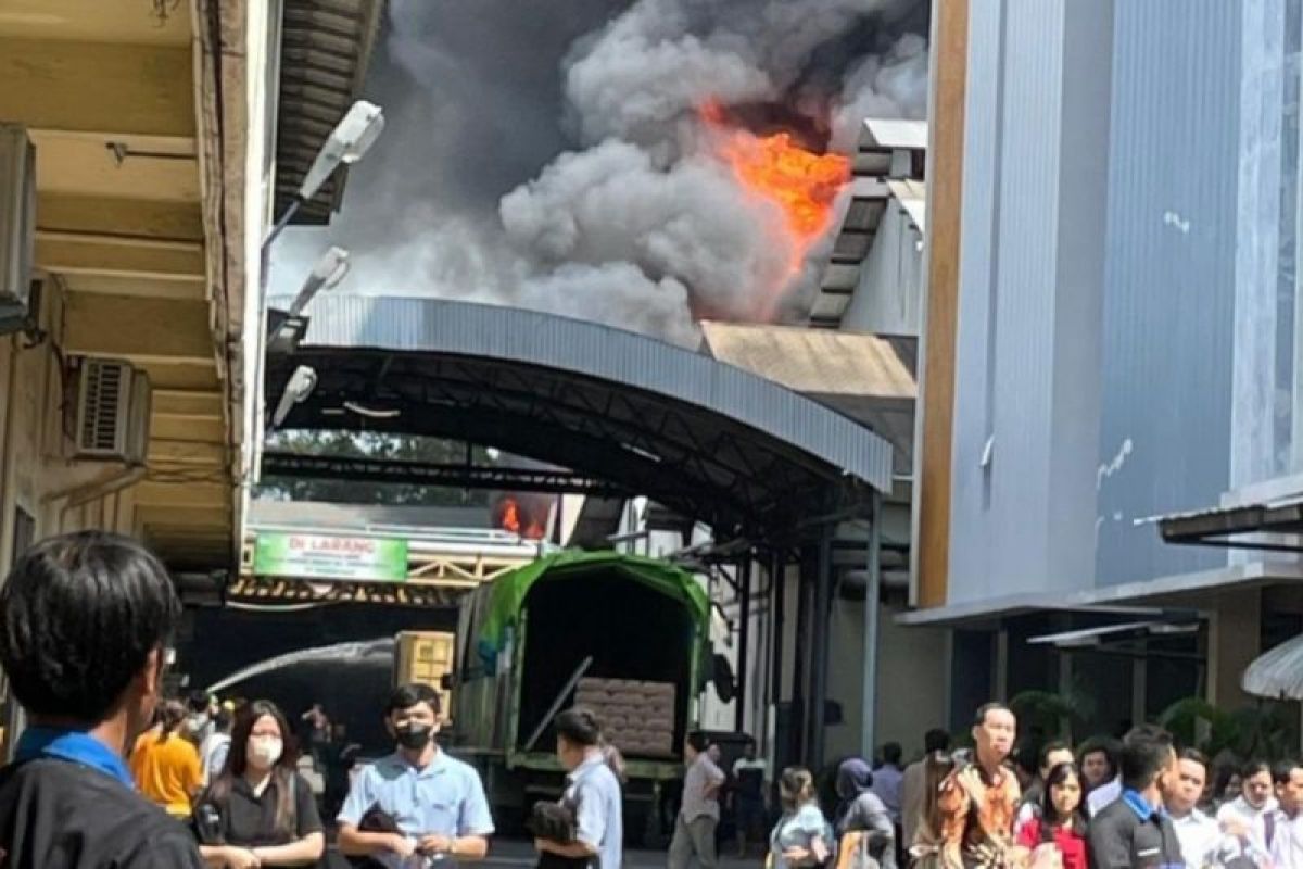 Perusahaan kelapa sawit terbakar, tujuh armada pemadam dikerahkan