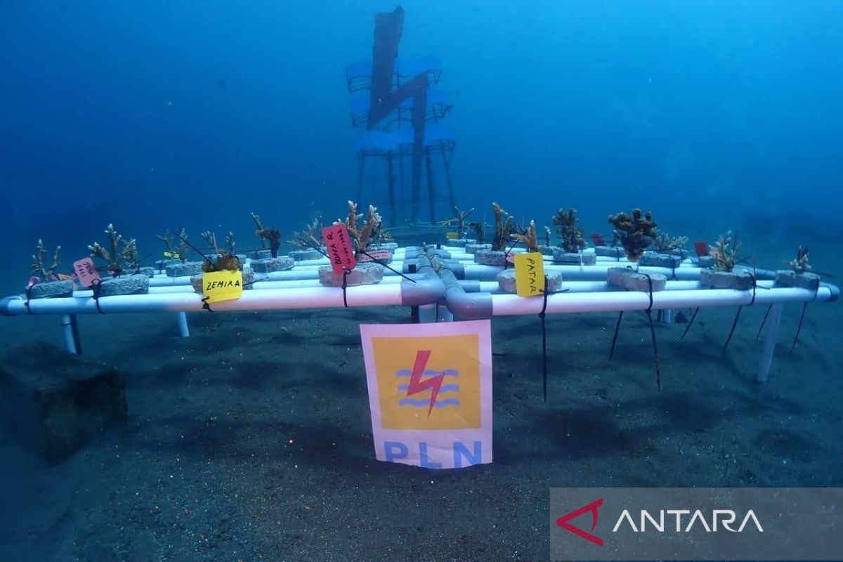 PLN Suluttenggo ucapkan selamat kepada pengurus baru Boboca Diving Club