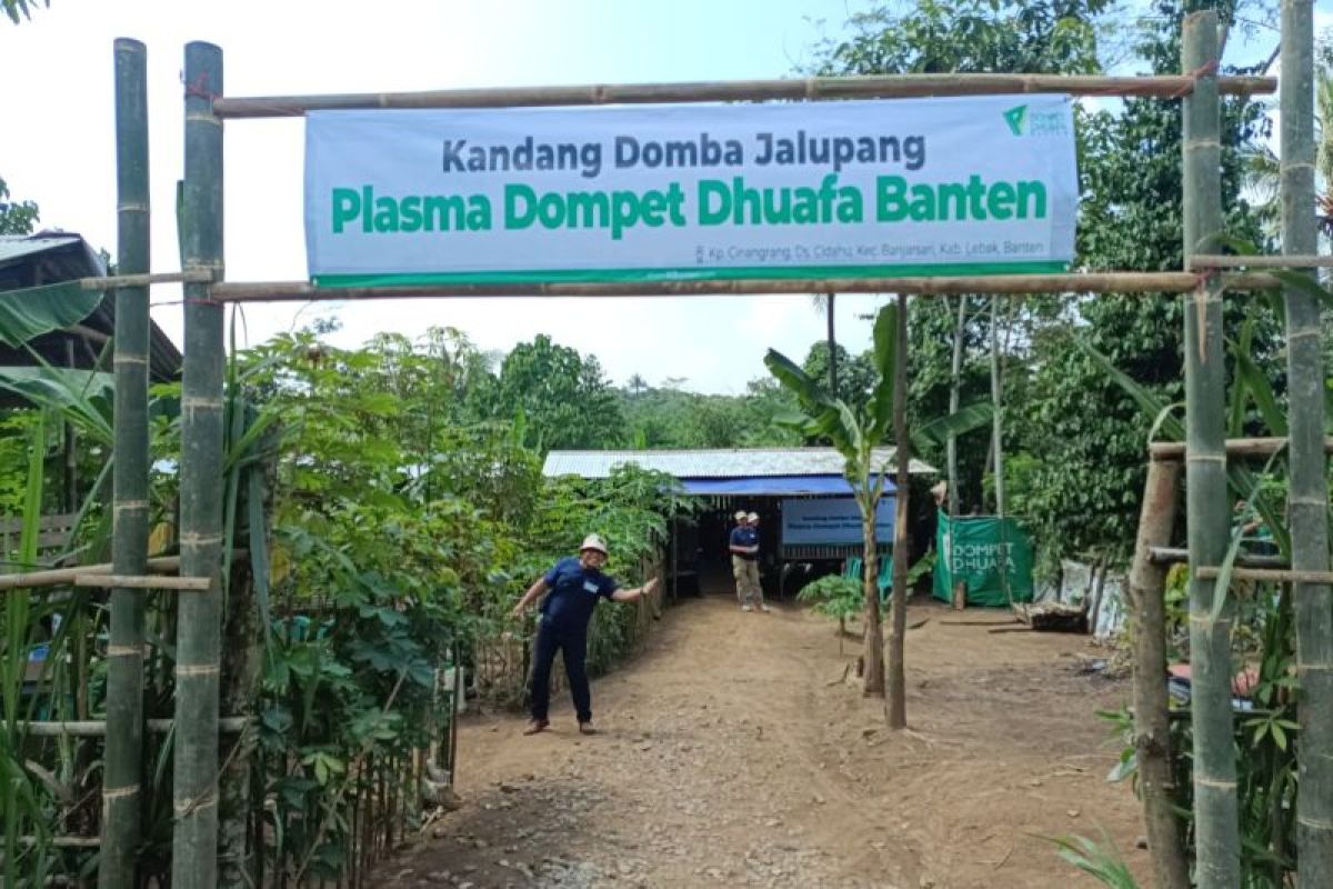Beralih menjadi peternak plasma Jalupang bersama Dompet Dhuafa Banten