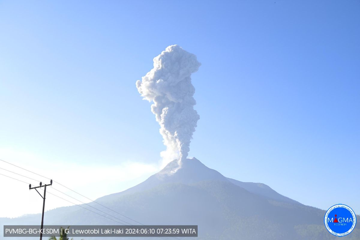 Mount Lewotobi Laki-laki erupts, spews ash 800 meters high