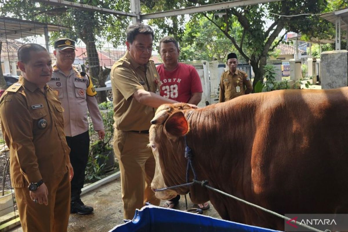 Pemkab Tangerang pastikan hewan kurban bebas dari penyakit menular