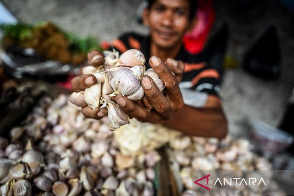 Harga bawang putih tembus Rp44.880 per kg dan minyak Rp20.220 per kg