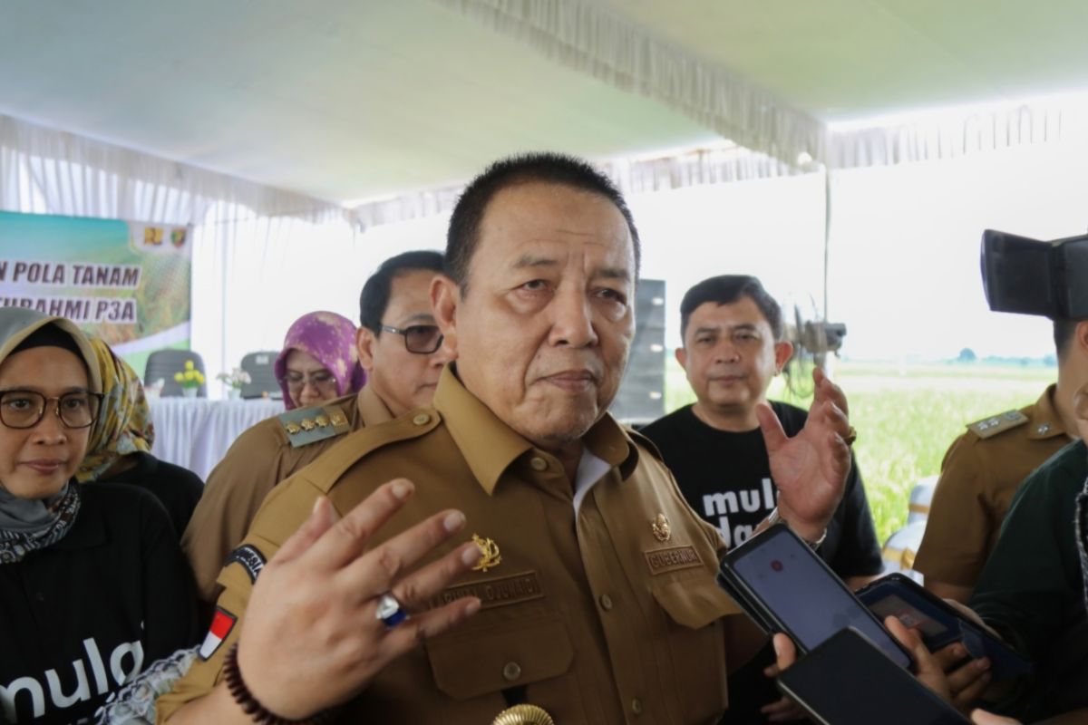 Pemprov Lampung siapkan strategi optimalkan musim tanam